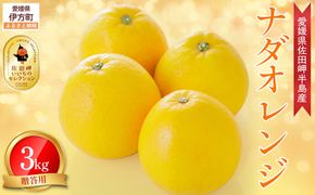 【農家直送】愛媛県産 ナダオレンジ 贈答用 3kg（2026年5月中旬より順次発送予定） IKTC005 