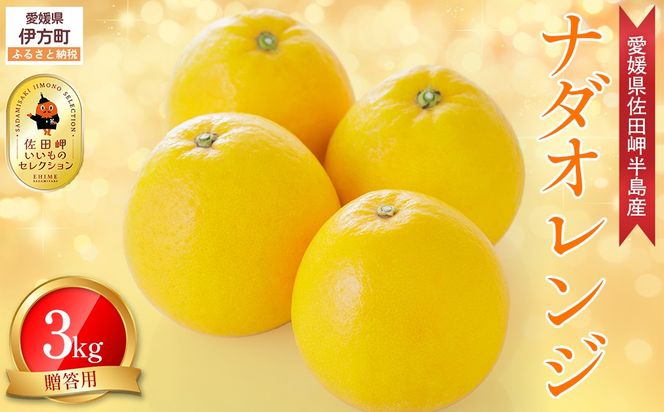 【農家直送】愛媛県産 ナダオレンジ 贈答用 3kg（2026年5月中旬より順次発送予定） IKTC005 