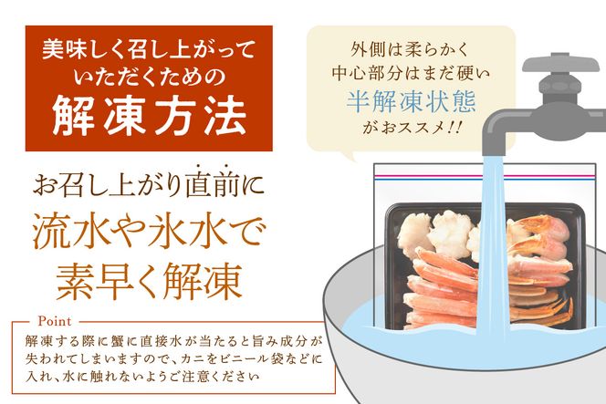 鮮度抜群！お刺身でも食べられる！カット生ズワイガニ 6肩分　 YK00420