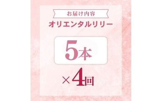 定期便4回 ユリ オリエンタルリリー 5本 花 切り花 プレゼント 贈り物 ギフト 誕生日 記念日 つぼみ 大輪 ピンク 白 香り 優雅 華麗 ブーケ フラワーアレンジメント 観賞用 インテリア 季節の花 高級感 花束 生花 福田園芸 オリエンタルハイブリッド 安芸市 高知県