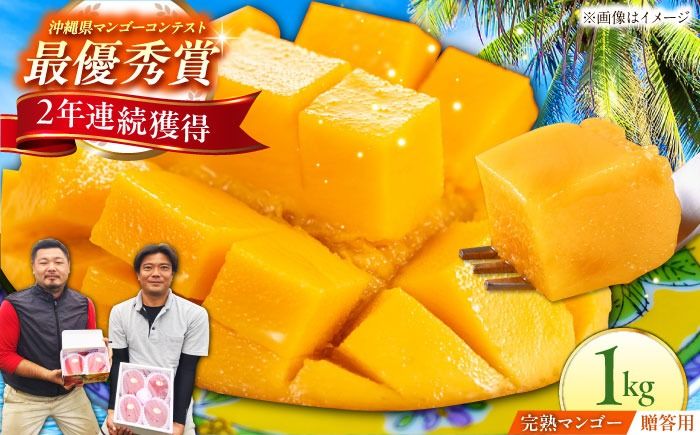 [贈答用]仲村農園の完熟アップルマンゴー1kg マンゴー 沖縄 果物 フルーツ ギフト 沖縄市 / 仲村農園[BCCU002]