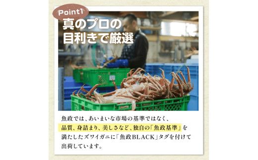 【蟹の匠 魚政】魚政BLACK 生プレミアムズワイガニ〈捌き済・急速冷凍〉ビックサイズ 1杯 焼きガニ香味ミスト付き　(11月～12月発送)　UO01346