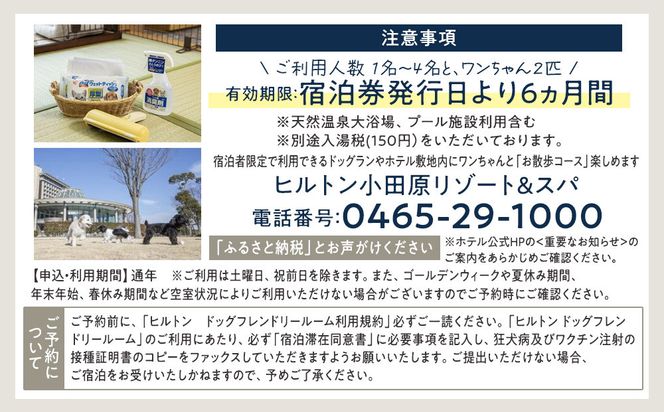 【チケット有効期限延長！】ワンちゃんと一緒にステイヒルトンドッグフレンドリールーム素泊まり（平日）【オーシャンビュー フィットネス 天然温泉大浴場 バーデゾーン 朝食ビュッフェ 都心から１時間のリゾート ヒルトン 神奈川県 小田原市 】 142069_BG007