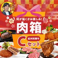 BN6137_お楽しみ肉箱 Cセット お試し ドキドキ 黒毛和牛 ハンバーグ メンチカツ ステーキ ロース ヒレ 焼肉 すき焼き しゃぶしゃぶ 盛り合わせ コロッケ ローストビーフ 食品 和歌山県 湯浅町 送料無料 