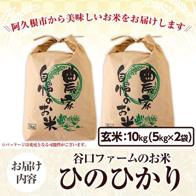 鹿児島県産の玄米 ひのひかり(計10kg・5kg×2袋) 国産 玄米 自社精米 ご飯 おこめ おにぎり お弁当 ひのひかり【谷口ファーム】akn064-09