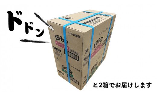 湖池屋 ポテトチップス 2種類アソート （のり塩・ガーリック）（各12袋・計24袋）  ポテチ お菓子 おかし 大量 スナック おつまみ ジャガイモ じゃがいも まとめ買い スナック菓子 数量限定 [DA044us]