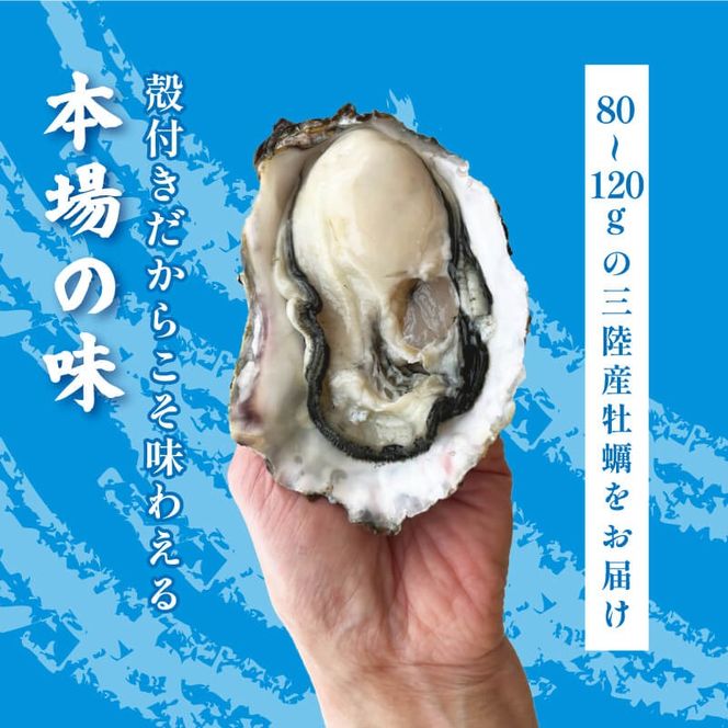 生食可 冷凍 牡蠣 殻付き牡蠣 春っこ 牡蠣 1袋 ( 12個入り )  冷凍 数量限定 かき カキ 殻付き牡蠣 [funamoto003]