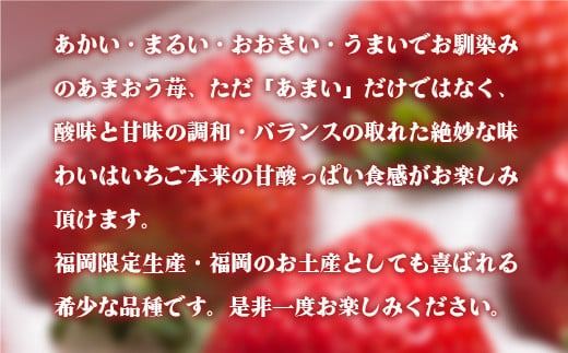 福岡産あまおう12-15粒ギフト ※2025年2月上旬から2025年3月下旬に順次発送予定　AX015