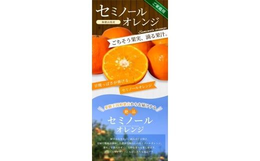 【ご家庭用】手選別 セミノールオレンジ 約1.5kg 和歌山県産 2S~2Lサイズ混合※2026年4月中旬～5月中旬頃に順次発送【mrmt026】