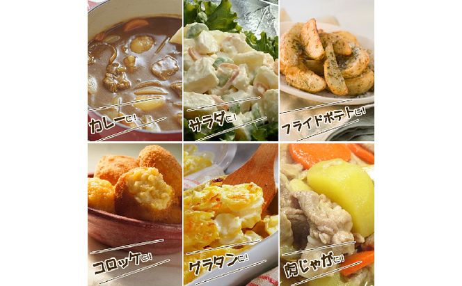 【2026年秋冬発送】北海道 富良野産 じゃがいも(男爵)＆玉ねぎ セット10kg 野菜 いも