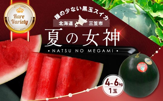 《2026年分受付中》『夏の女神』種が少なくて甘い黒皮スイカ1玉入（中玉4～6kg）【01005】