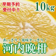 フルーツアイランド・マルエム青果の河内晩柑 10kg (なくなり次第終了)