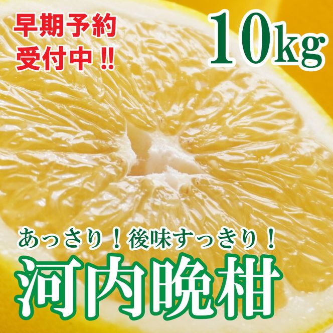 フルーツアイランド・マルエム青果の河内晩柑 10kg (なくなり次第終了)