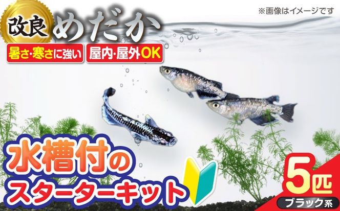 メダカスターターキット アクアリュウムタワー クリアー 【株式会社プロスパージャパン】 スターターキット 水槽 セット[AEAK004]