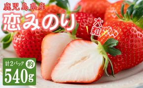 【数量限定】鹿児島県産朝採れイチゴ「恋みのり」約540g(約270g×2パック) p7-048
