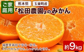 『松田農園』 みかん ご家庭用 みかん 【日付指定不可】約9kg たっぷり 予約受付中 フルーツ 秋 旬 熊本県玉名郡玉東町『松田農園』 こだわり ミカン！ちょこっと 訳あり《1月上旬-1月下旬頃出荷》---sg_wmtdmknl3l_ac1_25_10500_9kg---