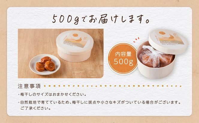 ひとみずの梅干し 500g 自然栽培で育てた紀州南高梅使用 ※栽培期間中、農薬・肥料・堆肥不使用 304018_EW03