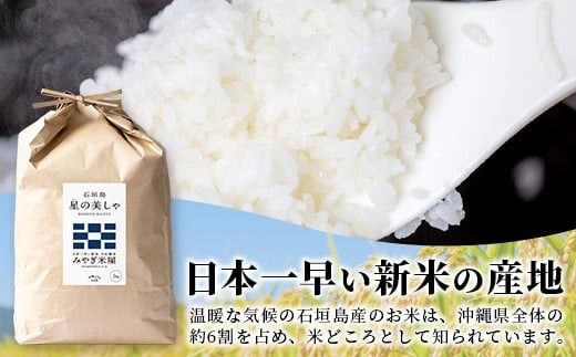 石垣島産 星の美しゃ（ほしのかいしゃ）20kg（5kg×4袋）【 日本一早い新米の産地 ふるさと納税 沖縄県 石垣市 石垣島 米 星 星の美しゃ】MK-5
