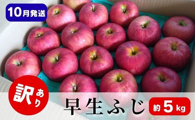 【10月発送】早生ふじ 約5kg 訳あり りんご 【サンふじは糖度13度以上で選果】 林檎 フルーツ 果物 青森県 鶴田町