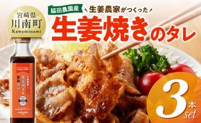脇田農園産　生姜農家が作った生姜焼きのタレ3本セット 【 生姜 ショウガ 国産 宮崎県産 九州産 川南町産 農家直送 しょうが 生姜焼きのたれ 】 [C07002]