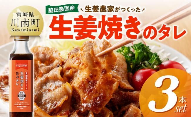 脇田農園産　生姜農家が作った生姜焼きのタレ3本セット 【 生姜 ショウガ 国産 宮崎県産 九州産 川南町産 農家直送 しょうが 生姜焼きのたれ 】 [C07002]