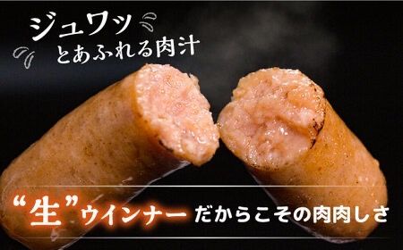 【全6回定期便】特製 生ハンバーグ 生ハム 生ウインナー 3種 セット 糸島市 / 志摩スモークハウス 肉 加工品 [AOA030]