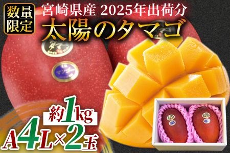 予約受付！数量限定！【2025年発送】＜宮崎県産 太陽のタマゴ A等級 4Lサイズ×2玉（合計約1kg）＞2025年4月下旬～6月末迄に順次出荷【 果物 フルーツ 太陽のタマゴ 太陽のたまご 完熟マンゴー マンゴ― 期間限定 先行予約 ギフト 贈答用 送料無料 】【a0259_ja】