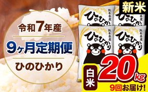 新米 令和7年産 ひのひかり 【9ヶ月定期便】 白米 20kg (5kg×4袋) 計9回お届け 《お申込み翌月から出荷》 熊本県産 精米 ひの 米 こめ お米 熊本県 長洲町---hn7tei_436500_20kg_mo9_ng_h---