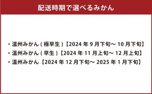 【先行受付】 特別栽培みかん 10kg サイズミックス 温州みかん みかん ミカン 蜜柑 フルーツ 柑橘 果物 果実 熊本県 上天草市【2024年12月下旬から2025年1月下旬発送開始】