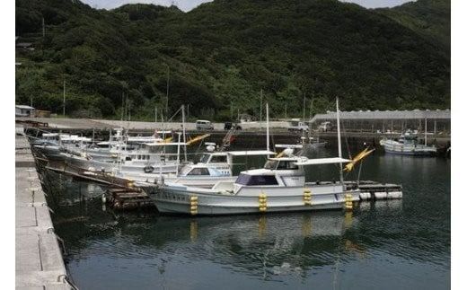 【数量限定】佐田岬海士のあわび・さざえセットB ※北海道・東北地方・沖縄・離島への配送不可 IKTJ002