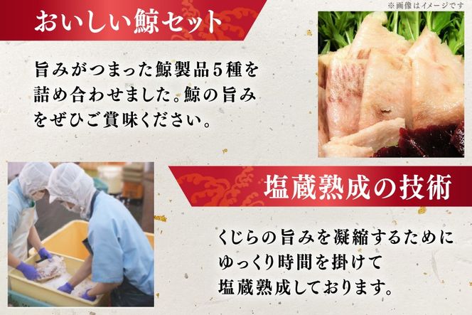 BJ154 美味しい 鯨 5種詰め合わせAセット 計520g( 大和煮 オバ ベーコンブロック 湯かけくじら さえずりブロック )[ くじら クジラ 鯨肉 湯引き 簡単調理 おつまみ 肴 珍味 日野商店 長崎県 島原市 ]