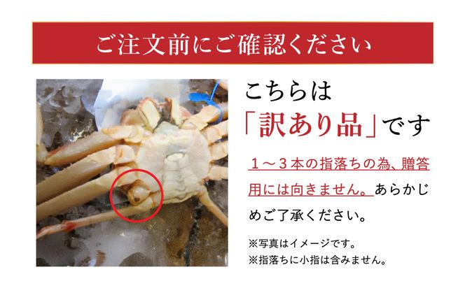 【訳あり】タグつき 釜茹で松葉ガニ700g前後