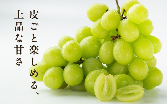 【お歳暮 熨斗付】 シャインマスカット 2房 【2026年12月より発送開始】 （茨城県共通返礼品 [ぶどう]：結城市産） 田舎の頑固おやじが厳選！ マスカット 種なし 大粒 高糖度 御歳暮 ギフト ぶどう 巨峰 フルーツ 甘い  [BI270-NT]