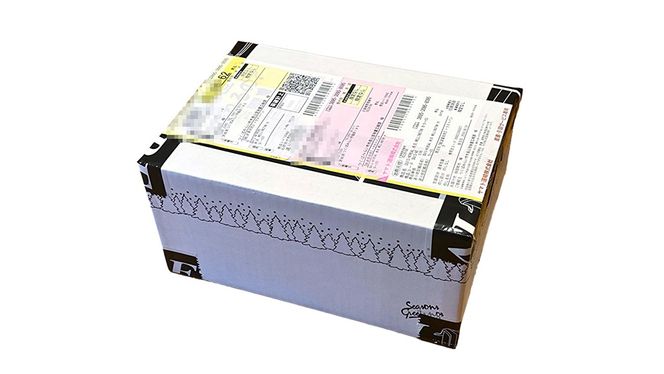 【 リアル メガネ タートル 】ＲＥＡＬ 温故知新 若狭 伍 度無しブルーライトカットレンズ＆老眼レンズ対応 眼鏡 メガネフレーム 国産 鯖江製