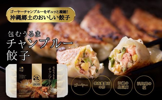 【ふるさと納税】包むうるま餃子　３種セット（島餃子・鶏塩餃子・チャンプルー餃子）　 餃子　豚肉　ゴーヤー　鶏　鶏肉　沖縄　中華