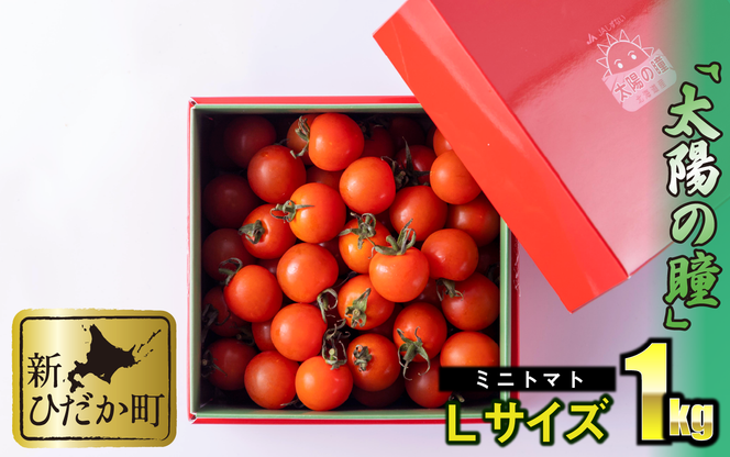 ＜ 9/15までの受付 ＞ 北海道産 ミニトマト 太陽の瞳 L サイズ 1kg 新ひだか町
