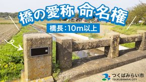 つくばみらい市 橋の愛称 命名権 （橋長10m以上） 命名権 命名 橋 名づけ 権利 広告 ネーミングライツ [EO02-NT]