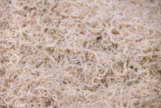 【冷蔵】上乾ちりめん 約1kg - 国産 ちりめん しらす シラス 稚魚 魚介 魚 海産物 天日干し 釜茹で ドロメ サラダ 和え物 アレンジ 料理 ご飯のお供 三浦屋海産 高知県 香南市 冷蔵 mu-0015