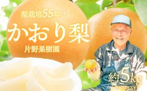 【数量・期間限定！】【2026年9月中旬以降発送】 片野果樹園 かおり梨 約 5kg なし ナシ フルーツ 果物 旬 産地直送 国産 茨城県 [AD021ya]