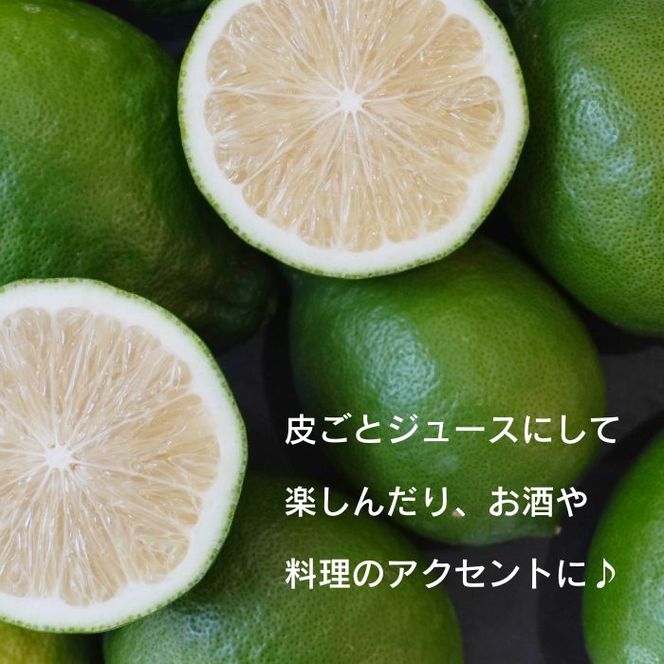 訳あり レモン （ グリーンレモン ） 3kg りのか 【発送期間:8月中旬～11月中旬】 レモン 減農薬 柑橘 檸檬 くだもの 果実 国産 愛媛 みかん職人武田屋 ブランド 愛媛県産 産直 無添加