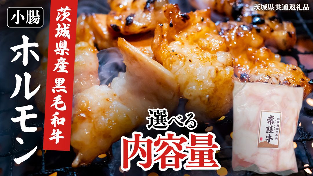 ＼選べる内容量/[茨城県産] 黒毛和牛 小腸 400g 800g 1.2kg (茨城県共通返礼品)