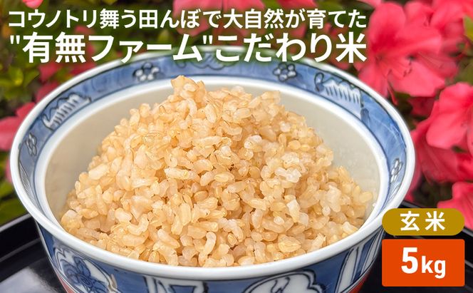 米 コウノトリ舞う田んぼで大自然が育てた"有無ファーム"こだわり米 玄米 5kg お米 栽培期間中農薬・化学肥料不使用