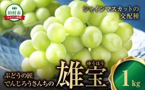 【先行予約 2026年発送】 ＼雄宝 -ゆうほう- 約1kg ／ 冷蔵 高級 種無し 種なし シャインマスカット ブドウ ぶどう 品種 果物 甘い 巨峰 美味しい 希少 福島県 田村市 鈴木農園 でんじろうさん