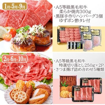 定期便(4回配送)黒毛和牛&黒豚・かつお・さつまあげ NN-0040 【1166778】