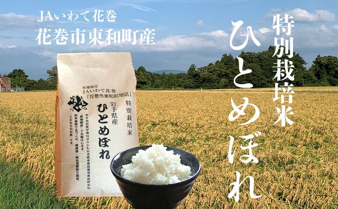 �y��茧�Ԋ��s�z�Ԋ��s���a���ʍ͔|�ĂЂƂ߂ڂ�5kg �y014�z