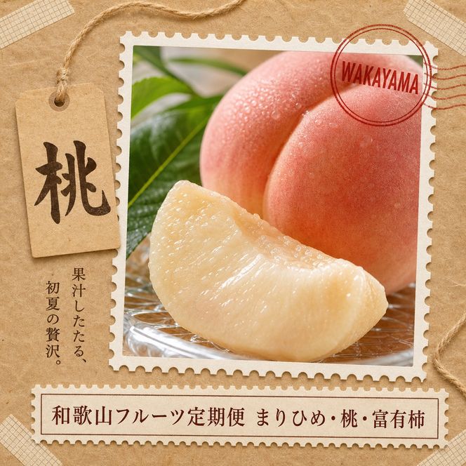 【2・7・11月 全3回】紀州和歌山産旬のフルーツセット（いちご・桃・富有柿）定期便 【魚鶴】【UT69】 303446_XF91138
