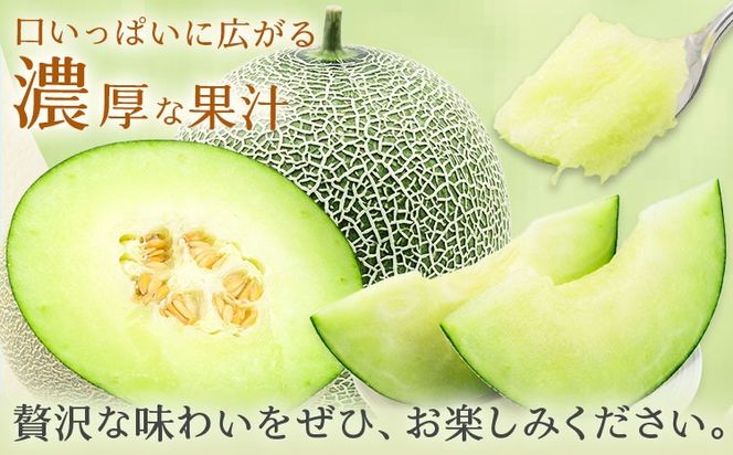 肥後グリーンメロン 1玉 熊本 株式会社エフビーネット《4月上旬-7月上旬頃出荷》熊本県 氷川町 果物 フルーツ 熊本県産 メロン 肥後グリーン めろん---hkw_efb_1_1p---