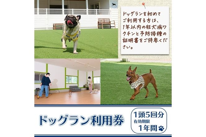 メール便でお届け！ドッグラン利用券(1頭5回分) 犬 ワンちゃん ペット チケット 体験 レジャー 自然 屋内 屋内 ラン 川遊び ポスト投函 大分県 佐伯市【HI002】【ドッグラン＆カフェblue mountain】