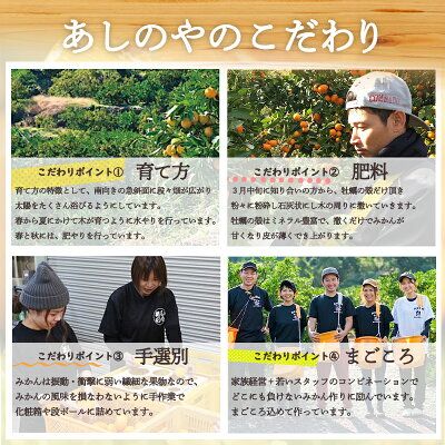 ZE6378n_有田の不知火(しらぬひ) 【訳あり　家庭用】　3kg (S～4Lサイズ混合)まごころ手選別