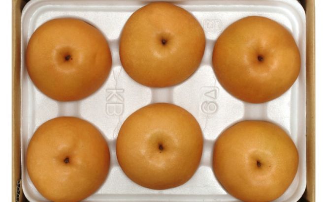 梨 2026年先行予約 岡山県産 新高梨 約3kg 4～6玉 お届け 10月中旬～11月中旬